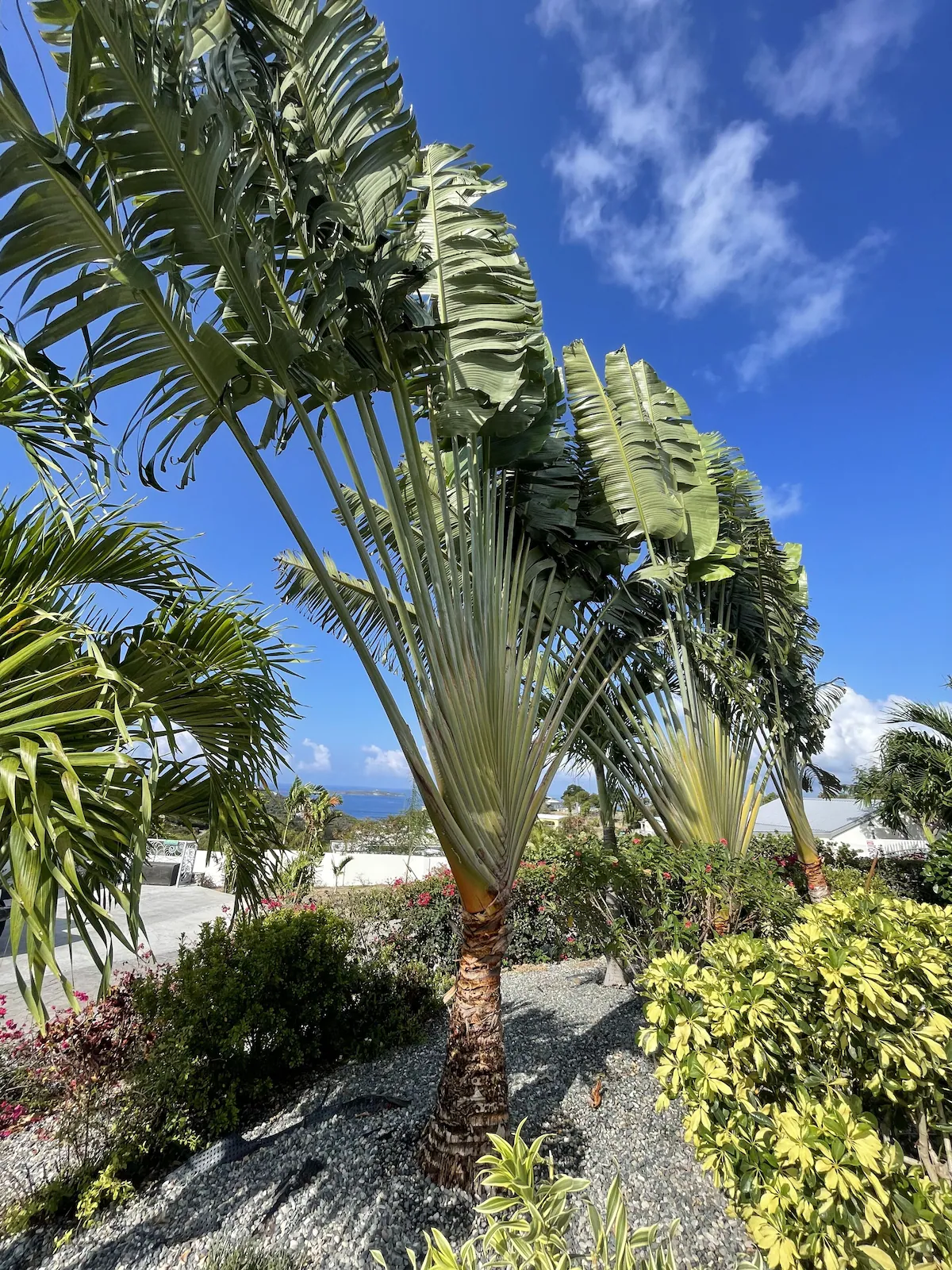 Seabreeze Cottage
