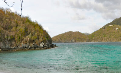 Hawk’s Nest Bay Beach